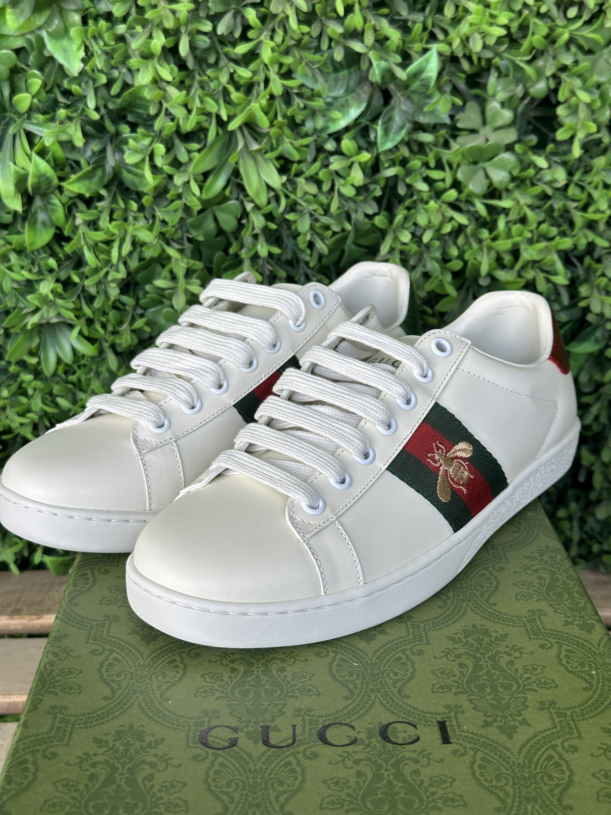 Gucci Sneaker With Bee