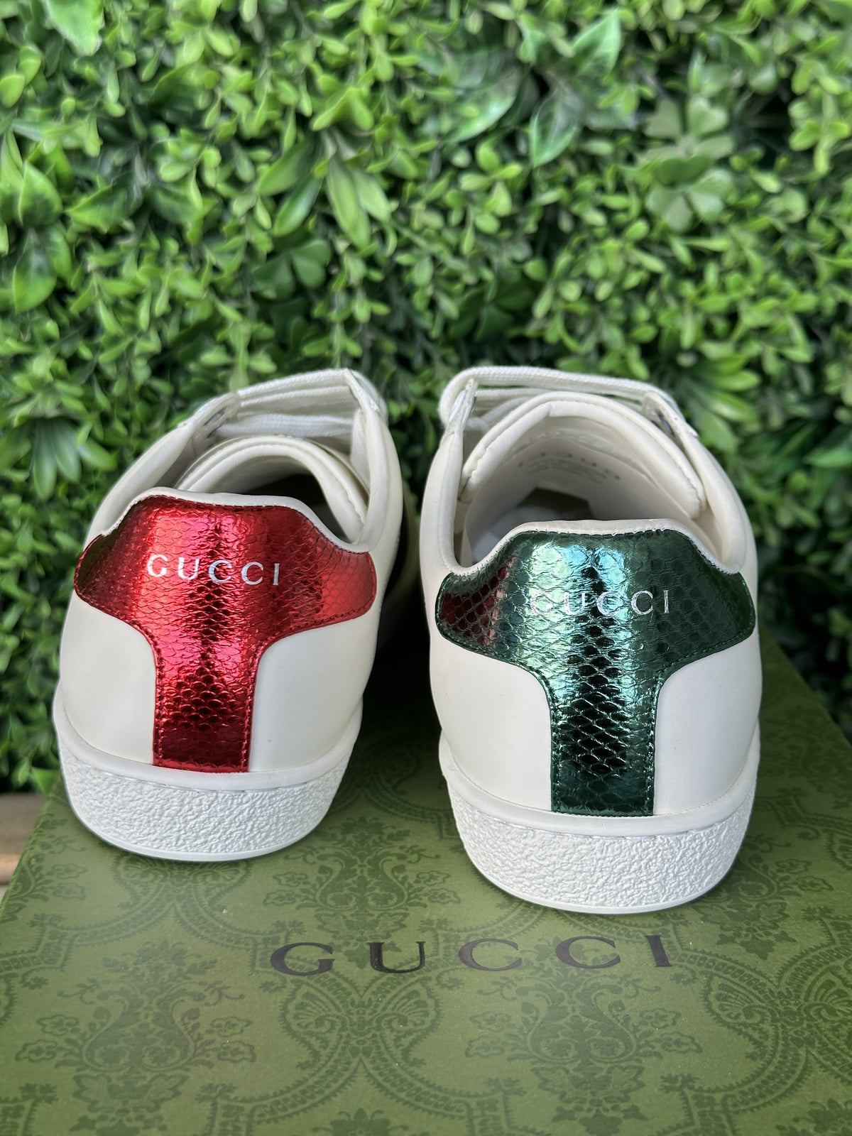 Gucci Sneaker With Bee
