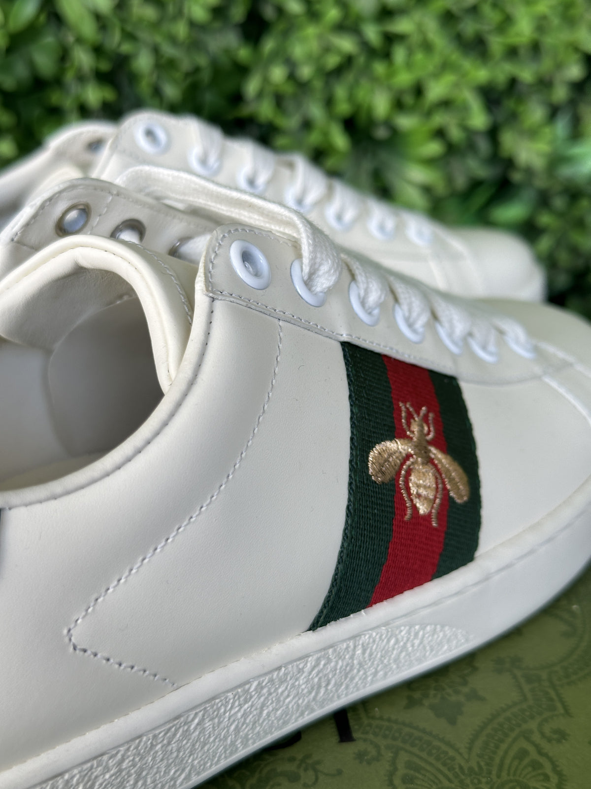 Gucci Sneaker With Bee